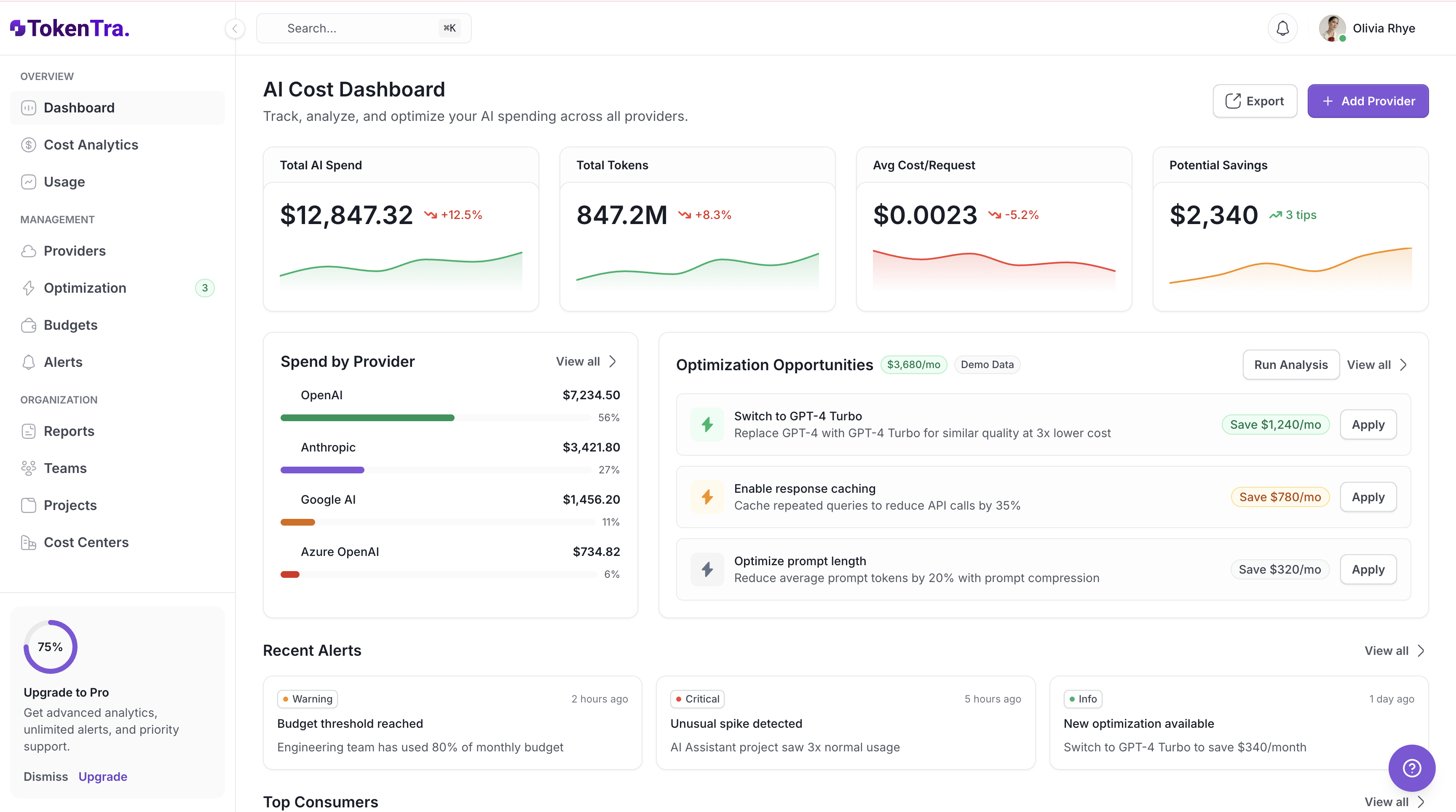 TokenTRA AI Cost Dashboard showing spend analytics and optimization opportunities